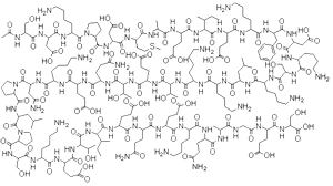 TB-500 chemical structure